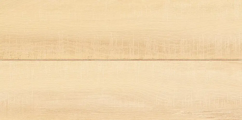 Briole Wood WT9BRE11 Глянцевая 24,9x50