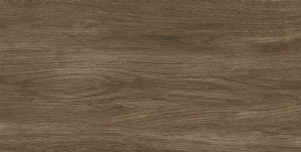 Mountain bistre 25x50