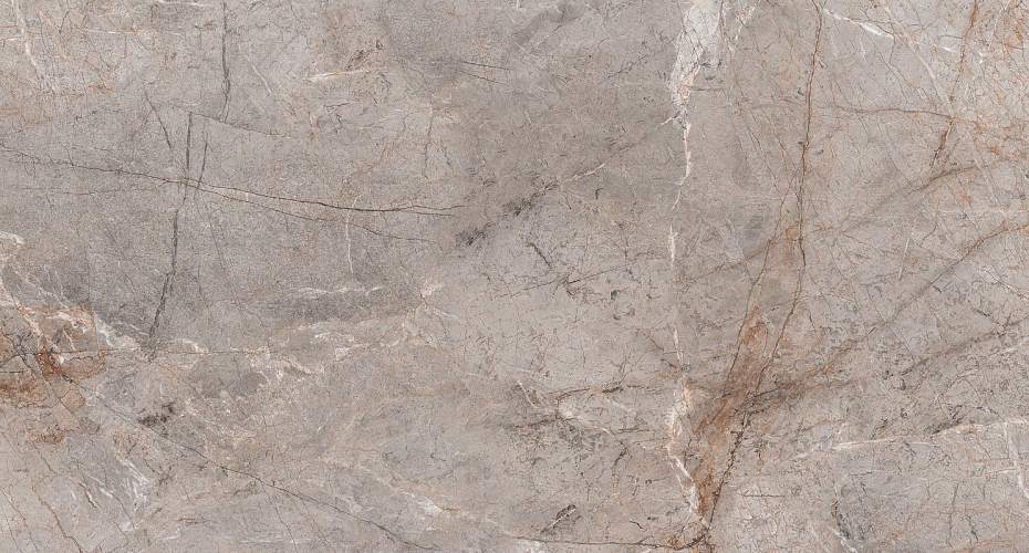 Lester Grey Mat S4431M Серый Керамогранит 60x120