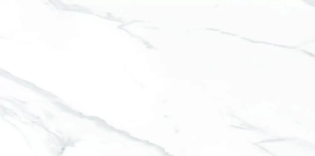 Julia Light WT9JUL00 Глянцевая 24,9x50