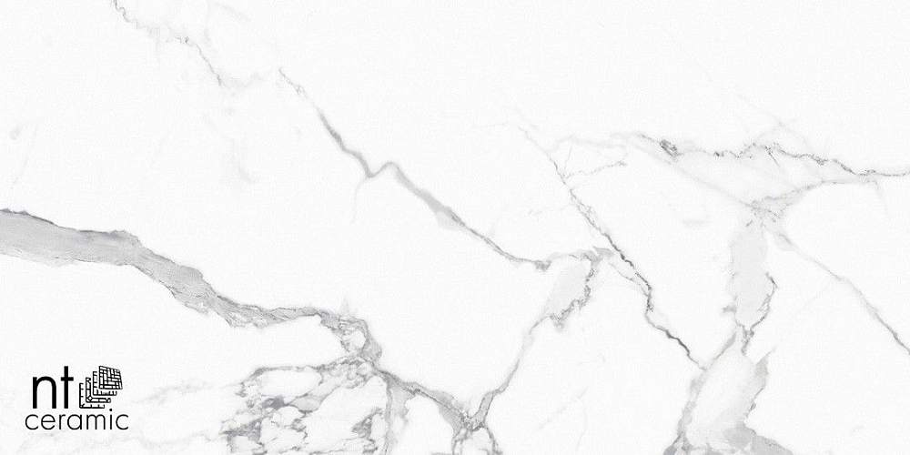 Statuario Infinity NTT9125M Керамогранит 60x120