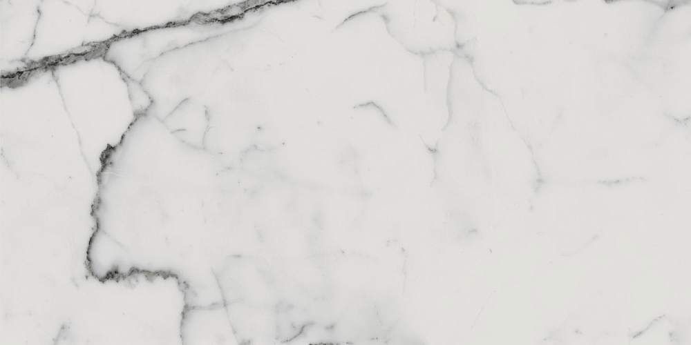 Charme Evo Statuario Nat 610010000783 Керамогранит 45x90