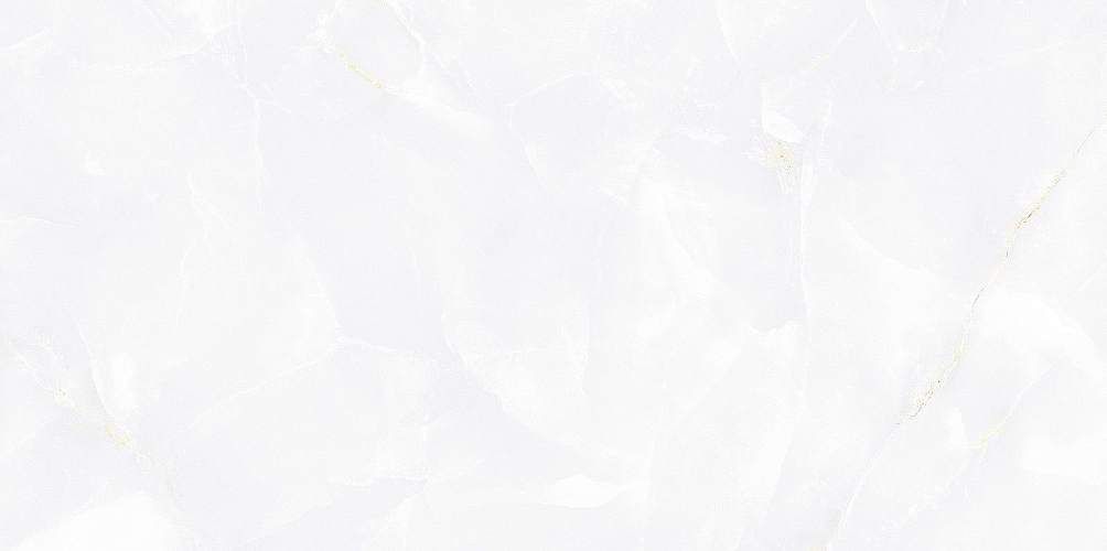 Bergamo Светло-серый TWU09BGM007 Глянцевая 24,9x50