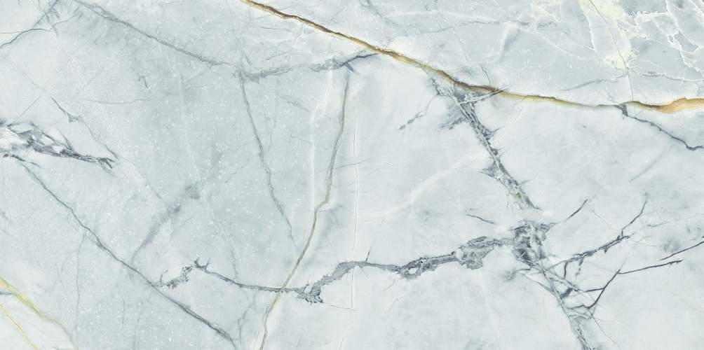 Albion Pulpis Dark WT9ALN23 Глянцевая 24,9x50