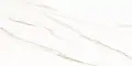 Esprit Calacatta WT9ESR00 Глянцевая 25x50