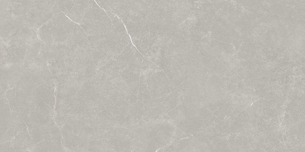 Smoky Grey Light Смоки Грэй Лайт RK189H205A Матовый Керамогранит 90x180