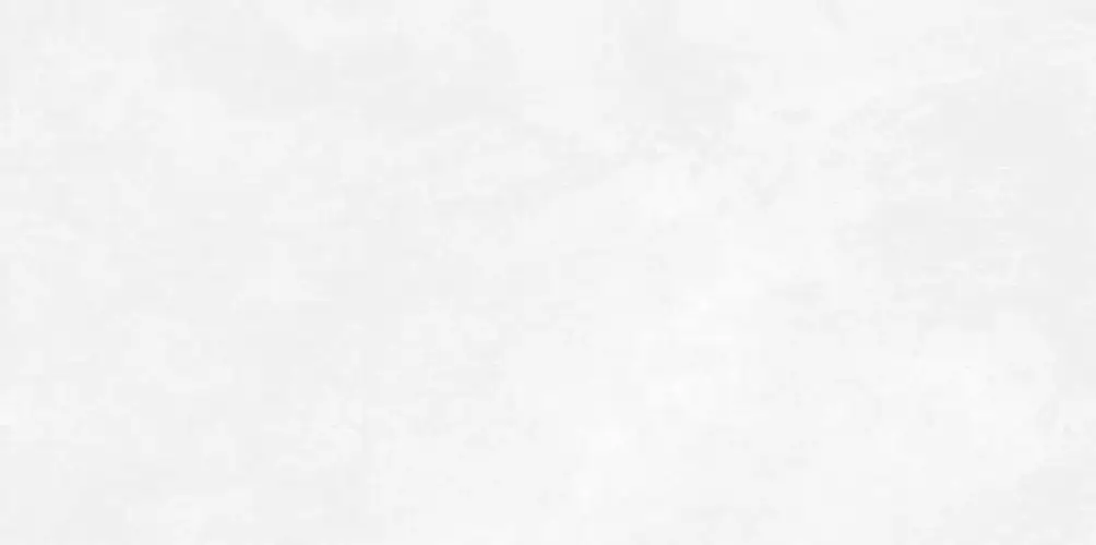 Antre White WT9ANR00 Матовая 24,9x50