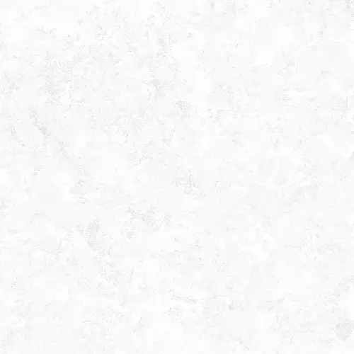 Evan White GP40PLY00L Лаппатированный Керамогранит 60x60