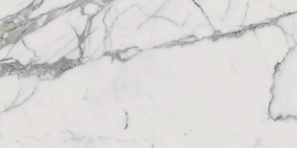 Charme Evo Statuario Ret Nat 610010001682 Керамогранит 80x160