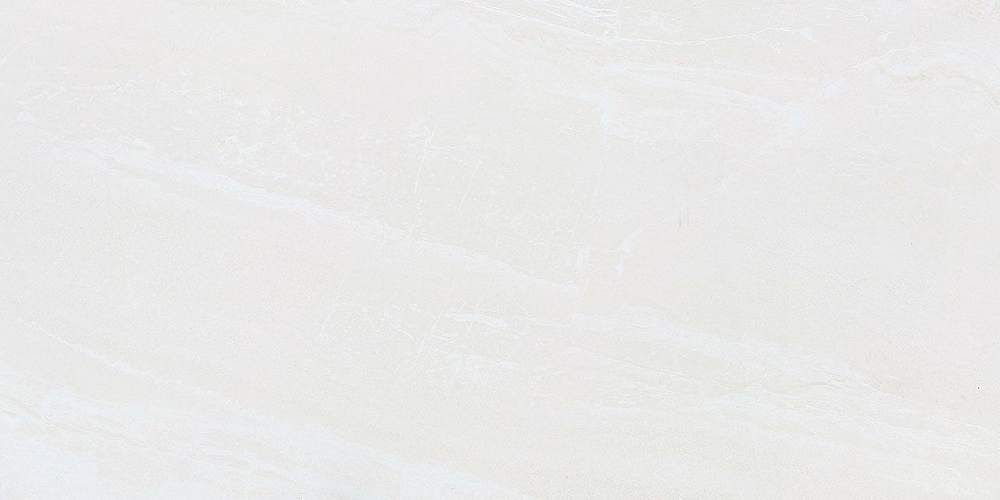 Zeus ZS612NTT9701P Керамогранит 60x120