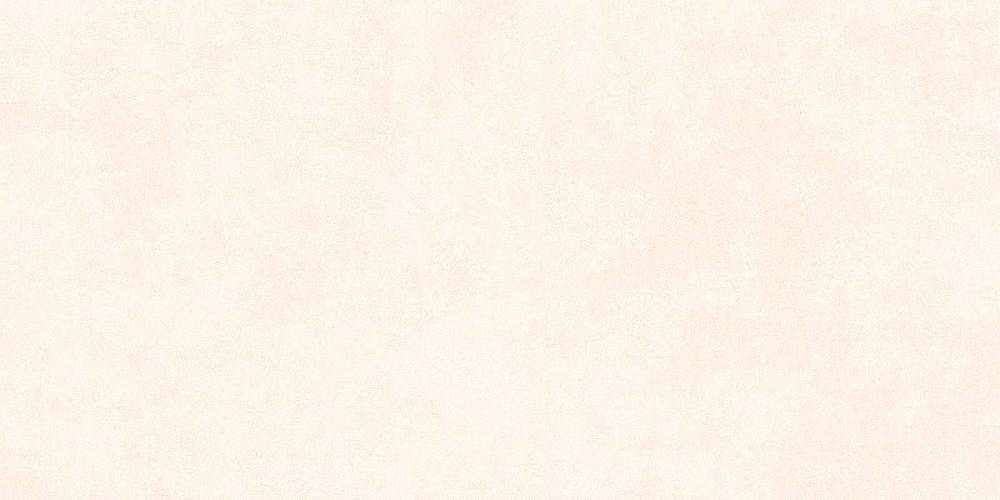 Berlin Бежевый GFU60120BLN04R Матовый Керамогранит 60x120