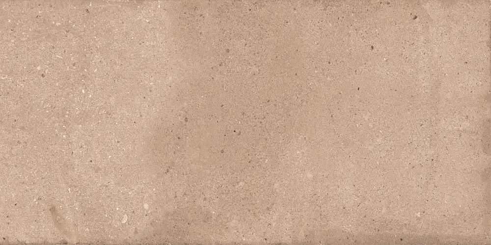 Rockstar Delhi NTTVL99828M Матовый Керамогранит 60x120