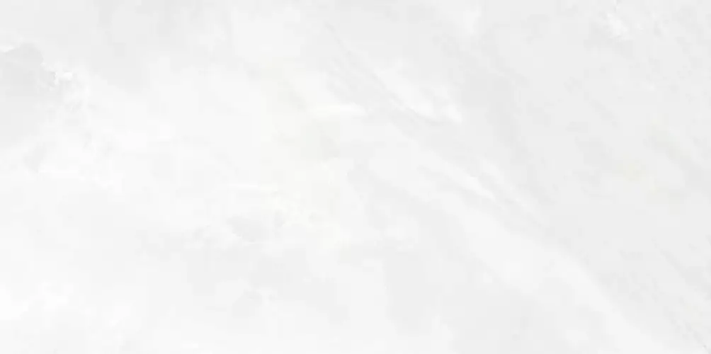 Palmira Light WT9PAL00 Глянцевая 24,9x50