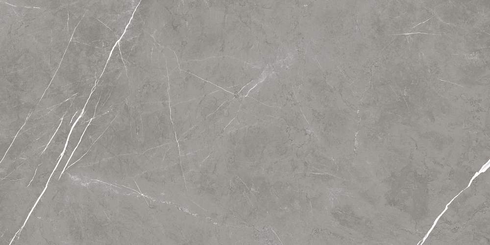 Elegant Grey Sat Керамогранит 60x120