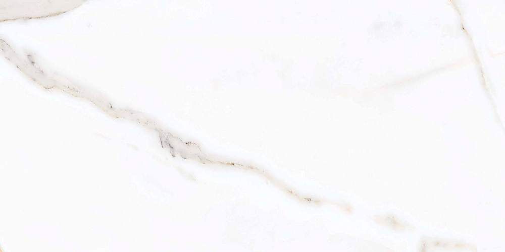 Regal Carara Polished Керамогранит 60x120