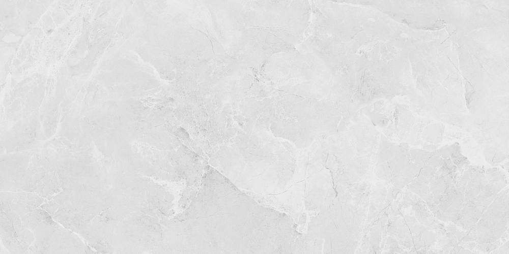 Berna Silver Светло-Серый Carving LP6012G0231R Матовый Керамогранит 59,5x119,1