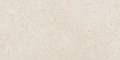 Fossil Pure Бежевый Матовый Керамогранит 60x120