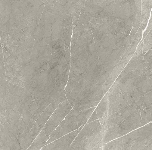 Bright And Shiny BB6NTT9102P Керамогранит 60x60