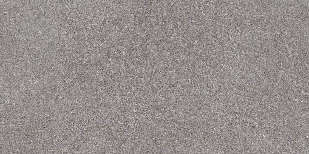 Роверелла Пепельный Обрезной DL501220R Керамогранит 60х119,5