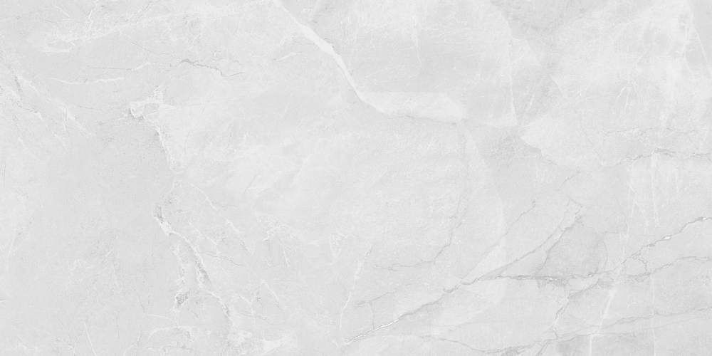 Berna Silver Светло-Серый Carving LP6012G0231R Матовый Керамогранит 59,5x119,1