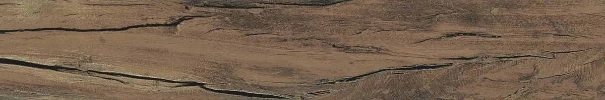 FS Forest Plank Natural 39699 Матовая 7,3x45