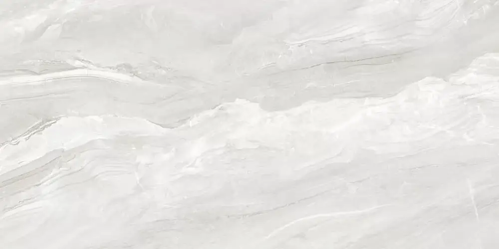 Argentina Gray 60120ARI15P Полированный Керамогранит 60x120