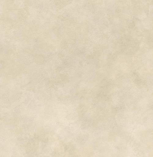 Boost Expression Camel AYT9 Керамогранит 120x120