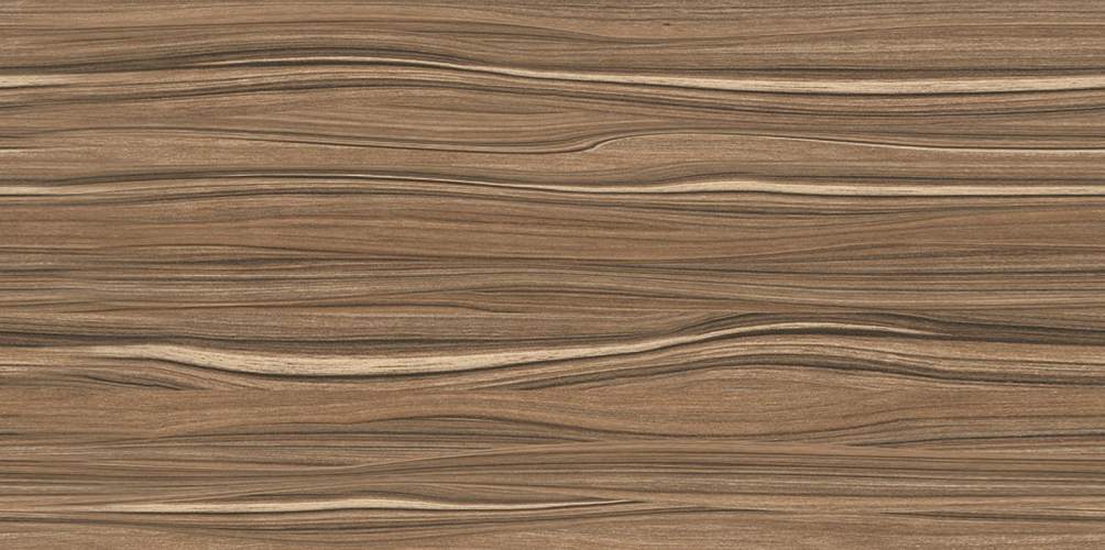 Plesso Коричневый TWU09PLS424 Глянцевая 24,9x50