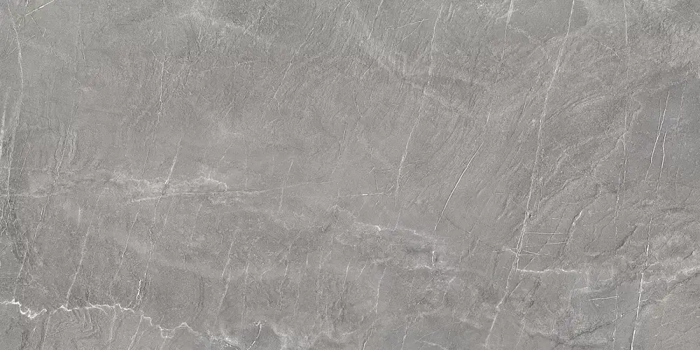 Terra Graphite 60120TER25P Полированный Керамогранит 60x120