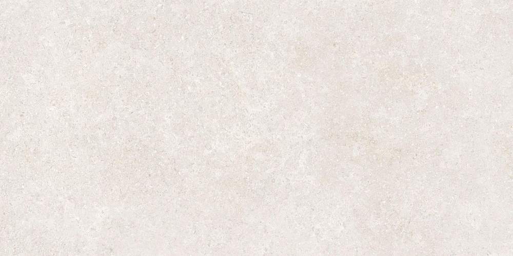 SandStone Белый K948597R Матовый R10A Керамогранит 60x120