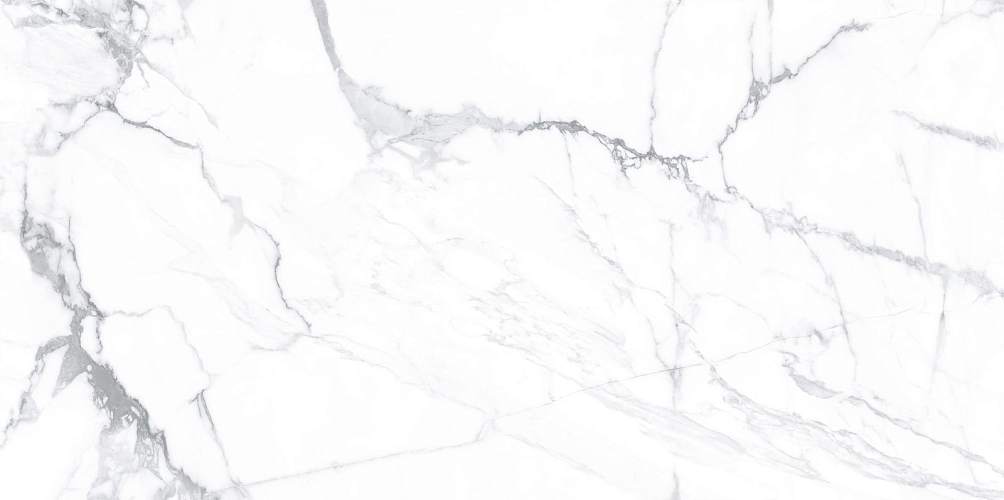 Lima Calacatta WT9LIM00 Глянцевая 24,9x50