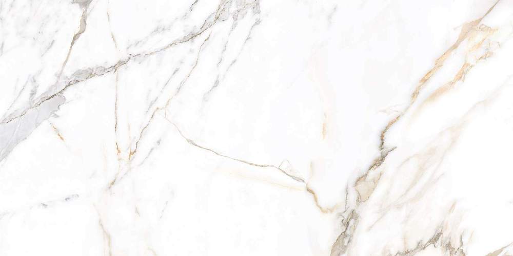 Trendy Белый GFU60120TRD04R Матовый Керамогранит 60x120