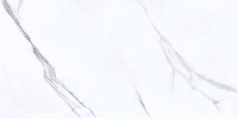 Carrara Bianco 00-00109616 Матовая 31,5x63