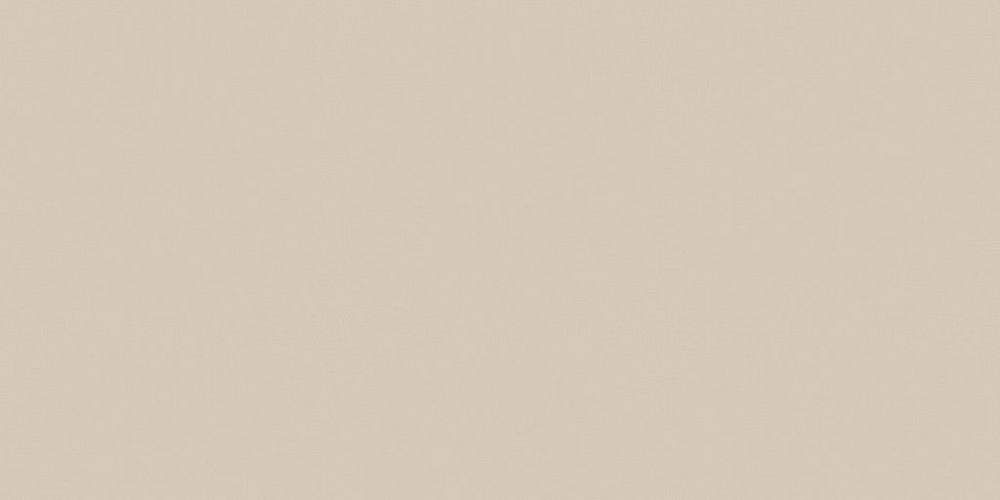 Rainbow RW 01 Неполированный Керамогранит 60x120