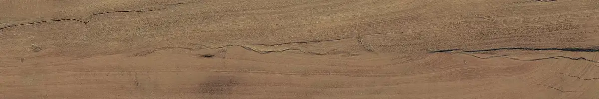 FS Forest Plank Natural 39699 Матовая 7,3x45