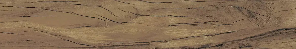 FS Forest Plank Natural 39699 Матовая 7,3x45