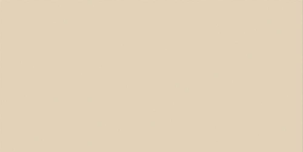 Spector Темно-Бежевый Моноколор GFU60120SPR50R Матовый Керамогранит 60x120