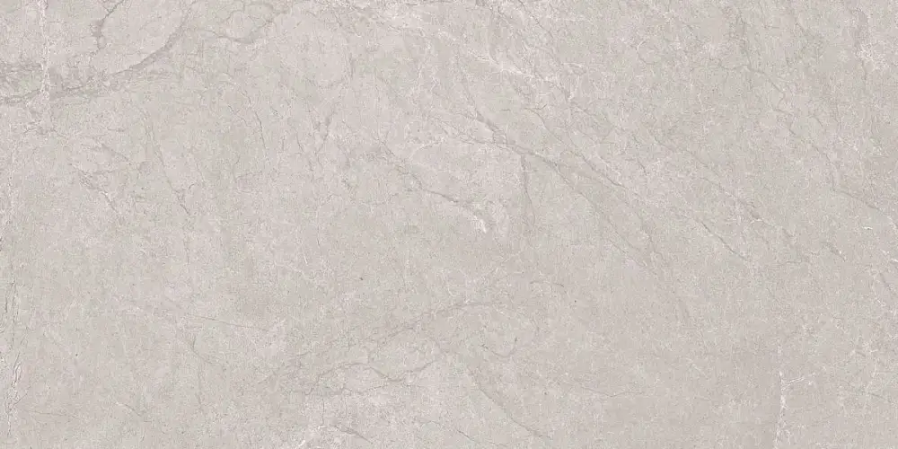 Aristo Grey Tm N20555 Керамогранит 60x120