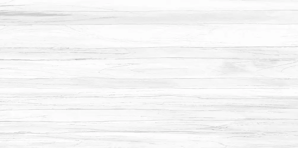 Vincenzo Casa WT9VIC25 Матовая 24,9x50