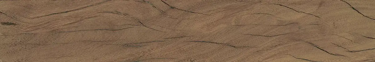 FS Forest Plank Natural 39699 Матовая 7,3x45