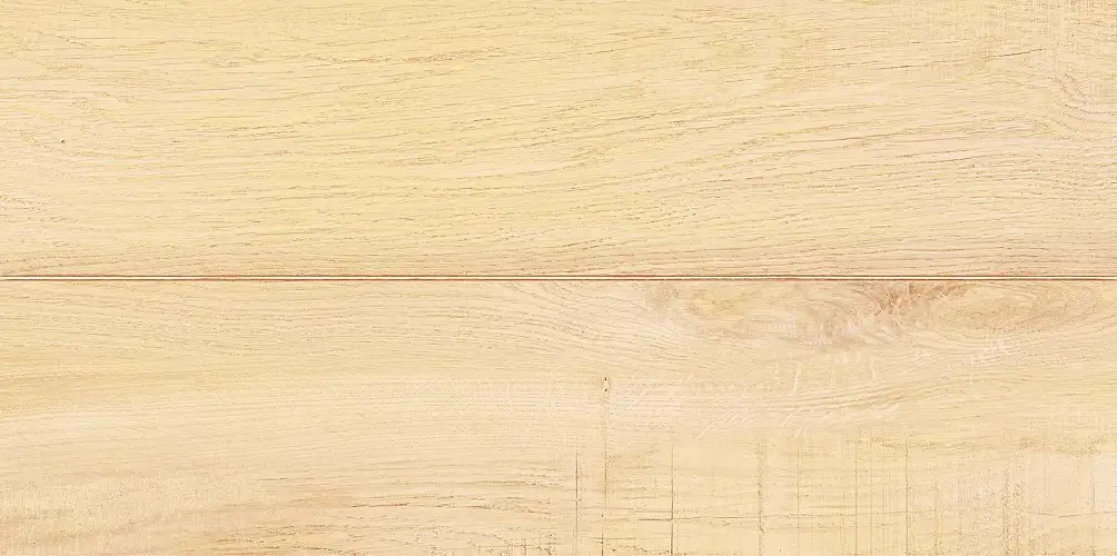 Briole Wood WT9BRE11 Глянцевая 24,9x50