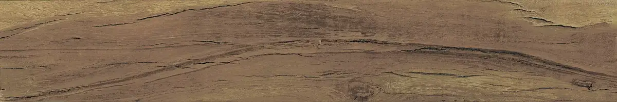 FS Forest Plank Natural 39699 Матовая 7,3x45