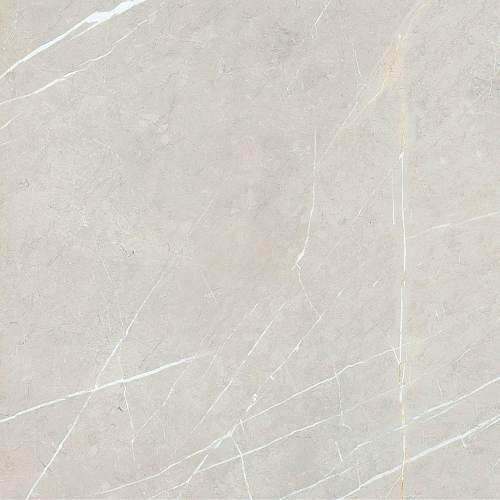 Bright And Shiny BB6NTT9101P Керамогранит 60x60