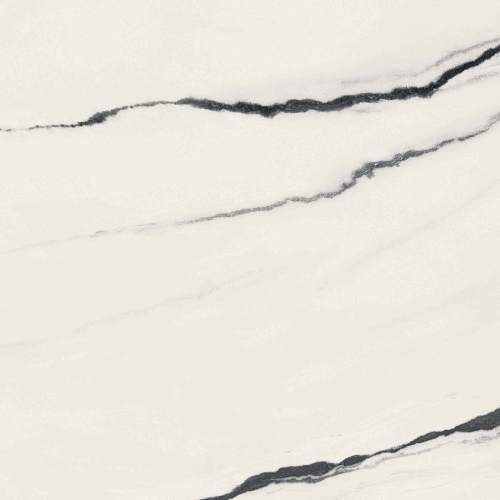 Panda White Керамогранит 80x80