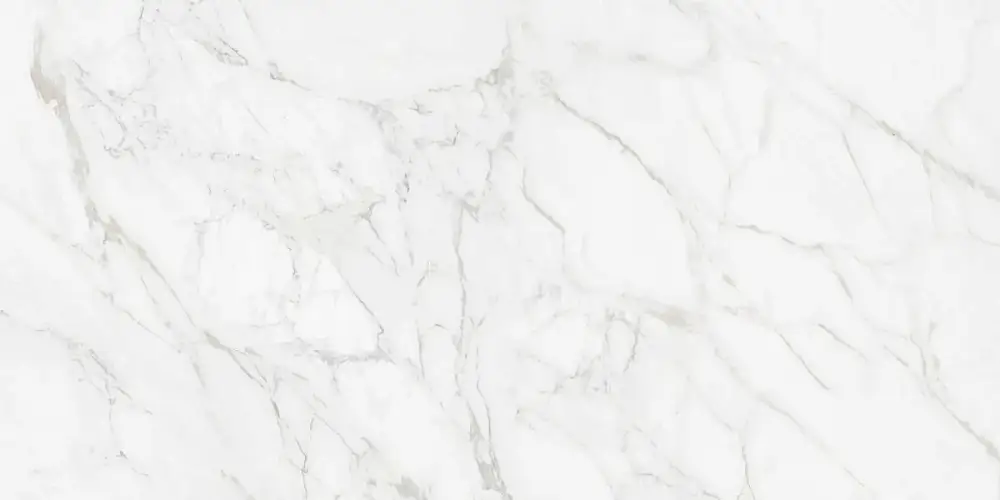Carrara Giaola Polished N12045 Керамогранит 60x120