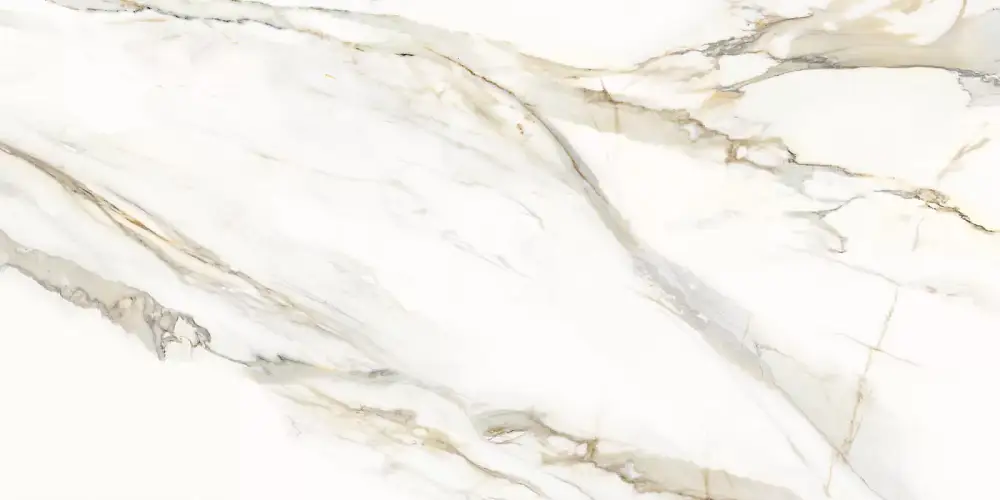 Omega Gold D12054M Матовый Керамогранит 60x120