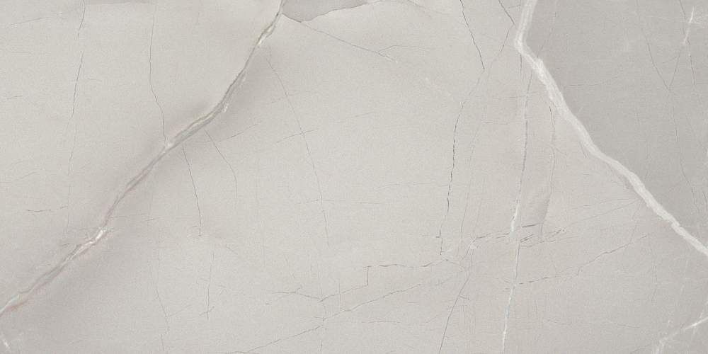 Passion Lux 90 Grey Глянцевая 45x90