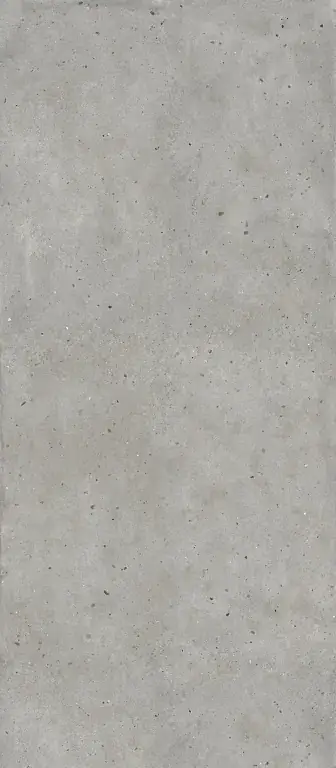 Avantgarde Silver Матовый Керамогранит 120x278