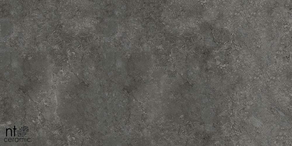 Concrete PP459NTT77003M Керамогранит 45x90