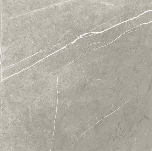 Bright And Shiny BB6NTT9102P Керамогранит 60x60